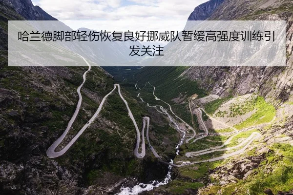 哈兰德脚部轻伤恢复良好挪威队暂缓高强度训练引发关注 - kaiyun